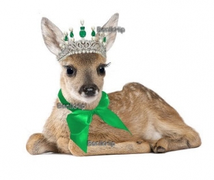 Strijkapplicatie Cute lovely Deer groene strik